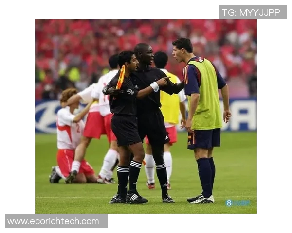 2002年韩国足球明星球员表现回顾与历史地位分析