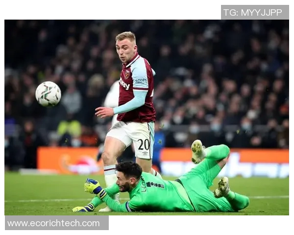 西汉姆联球星祖玛虐猫事件引发社会舆论关注与足球圈道德反思