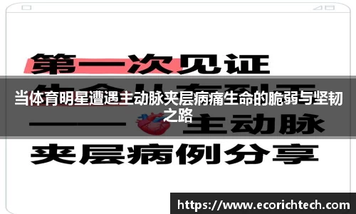金年会体育